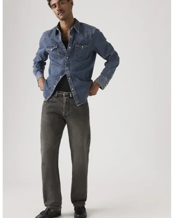 Blugi regular fit cu buzunare, Gri inchis