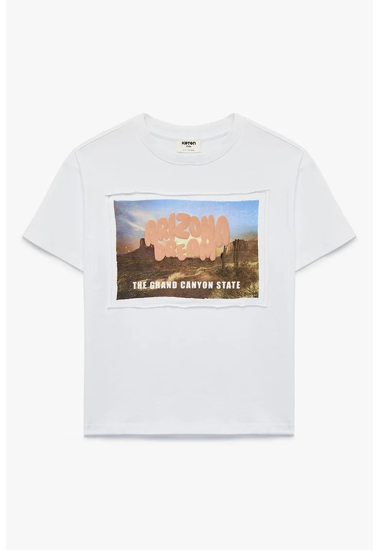 Tricou de bumbac cu imprimeu pe piept, Alb/Maro/Albastru