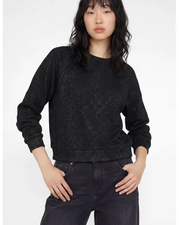 Bluza regular fit de trening cu decolteu la baza gatului, Negru/Argintiu