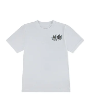 Tricou cu imprimeu pe partea din spate NYC Sketch, Gri deschis/Verde deschis