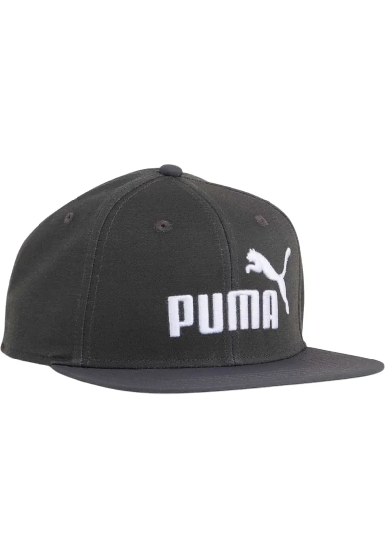Sapca  Essential No. 1 Logo Flat 62102, Gri