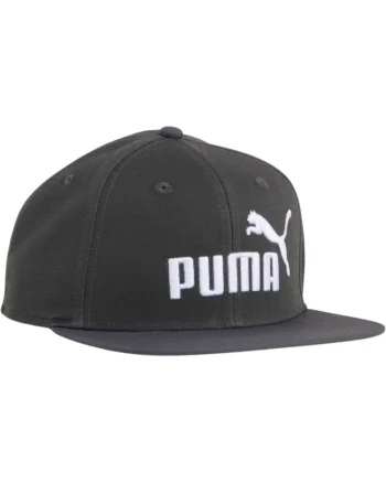 Sapca  Essential No. 1 Logo Flat 62102, Gri