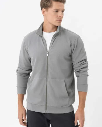 Bluza de trening cu fermoar cu guler inalt, cu buzunare frontale, mansete, Regular Fit,  B-Gulf, Gri