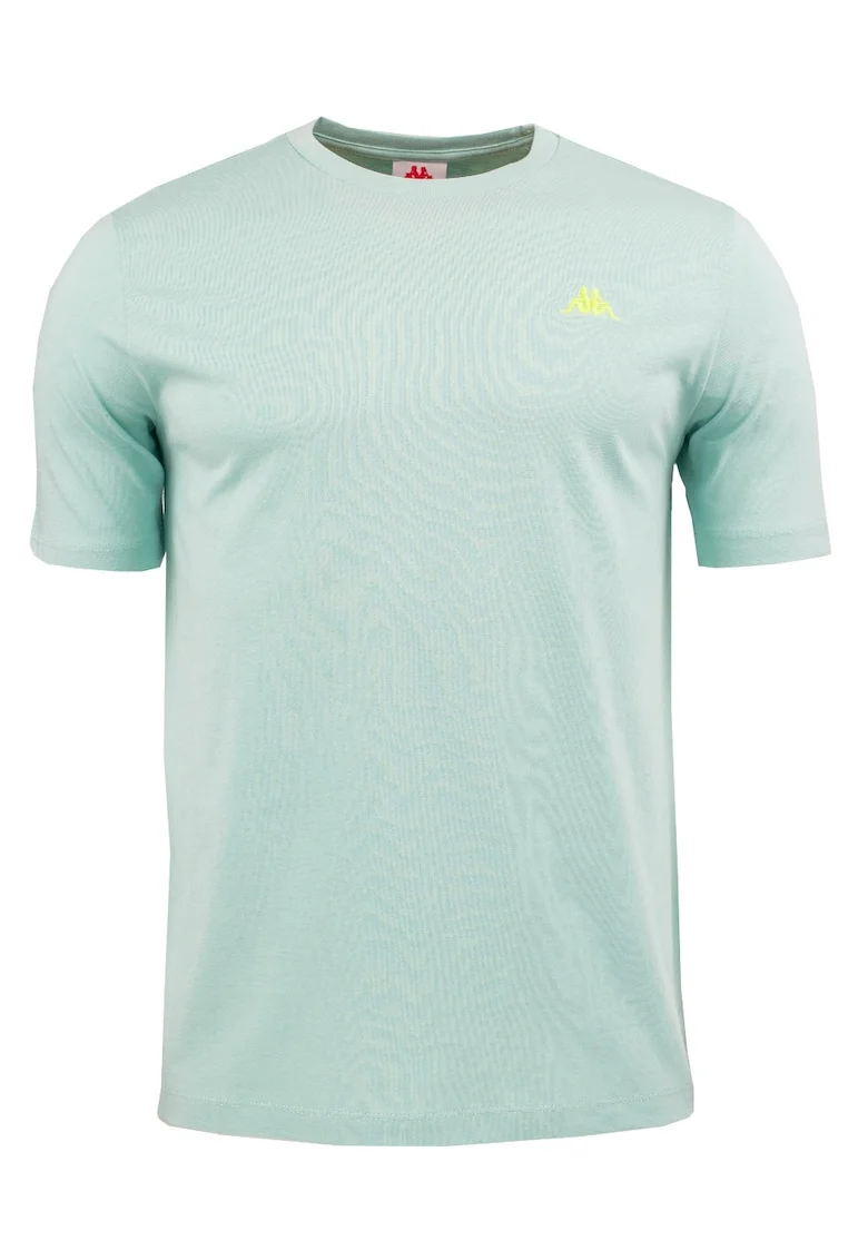 Tricou pentru barbati,  Verde, Albastru