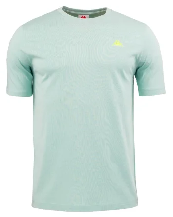 Tricou pentru barbati,  Verde, Albastru