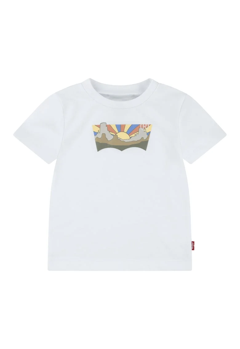 Tricou de bumbac cu imprimeu, Alb/Maro/Albastru