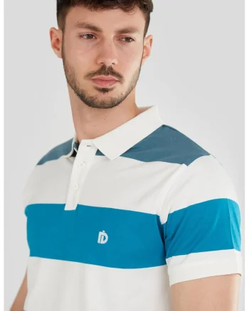 Tricou polo regular fit cu model in dungi, Alb/Albastru