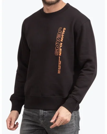 Bluza barbati molton cu imprimeu cu logo si croiala Regular Fit negru, Negru