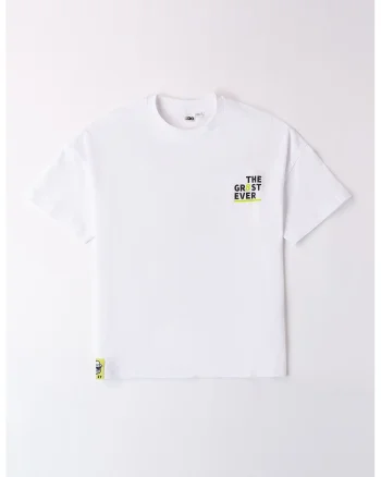 Tricou cu decolteu la baza gatului si imprimeu, Gri deschis/Alb optic/Verde lime
