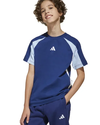 Tricou de bumbac cu maneci raglan, Alb/Albastru inchis/Albastru deschis