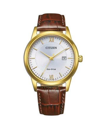 Ceas barbatesc  AW1782-11A, Quartz, 40mm, 3ATM