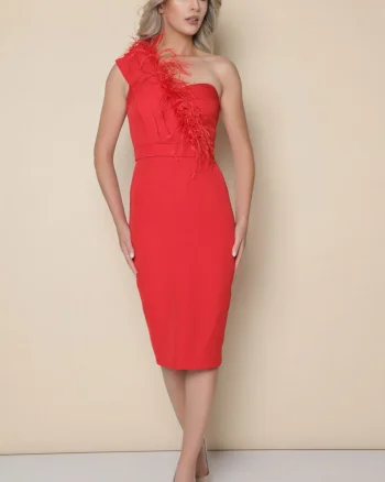 Rochie eleganta mulata pe corp de culoare rosie prevazuta cu pene