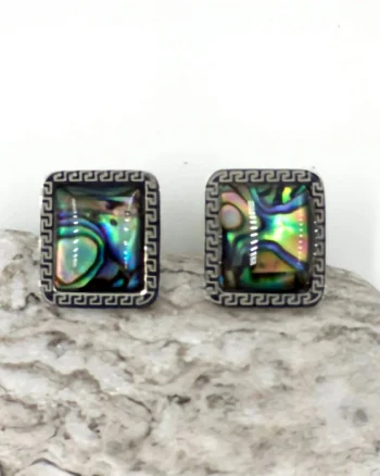 Cercei eleganti din otel inoxidabil cu paua shell multicolor