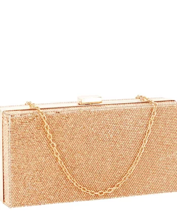 Geanta clutch sampanie cu pietricele BRS-5052 05