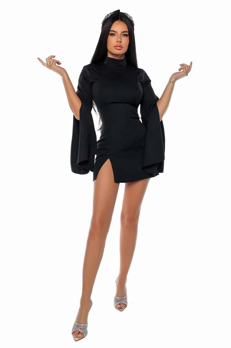Posh Dress