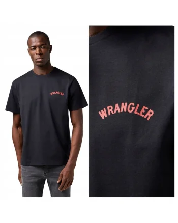 Tricou Barbati,  Graphic Tee, Regular Fit, Decolteu Rotund, Cu dwqfLogo, Design Clasic, Maneci Scurti, Bumbac, Negru, Negru