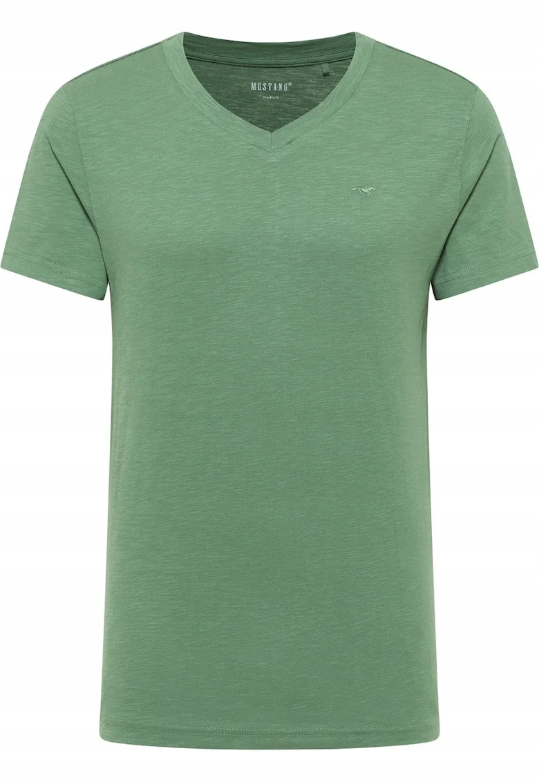Tricou Barbati,  Amado, Regular Fit, Verde, Verde
