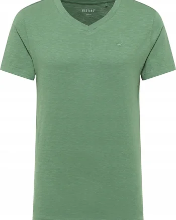 Tricou Barbati,  Amado, Regular Fit, Verde, Albastru