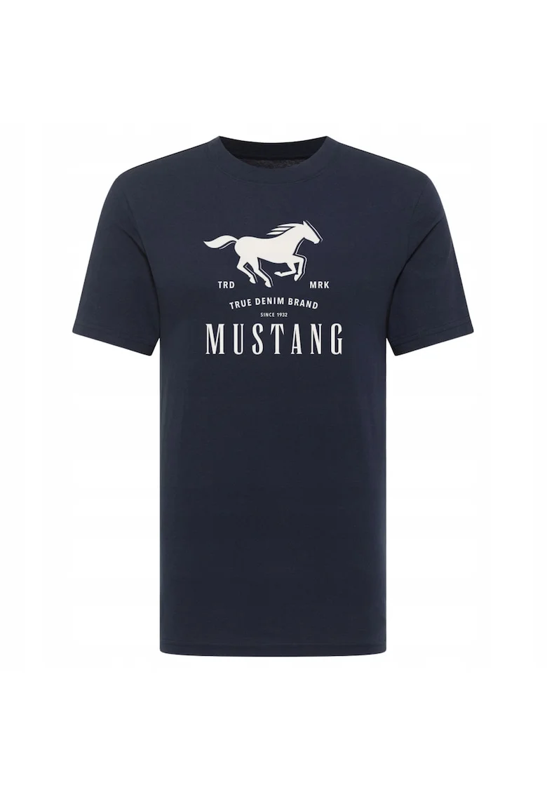 Tricou Pentru Barbati,  Albastru, Bumbac, Regular fit, Albastru