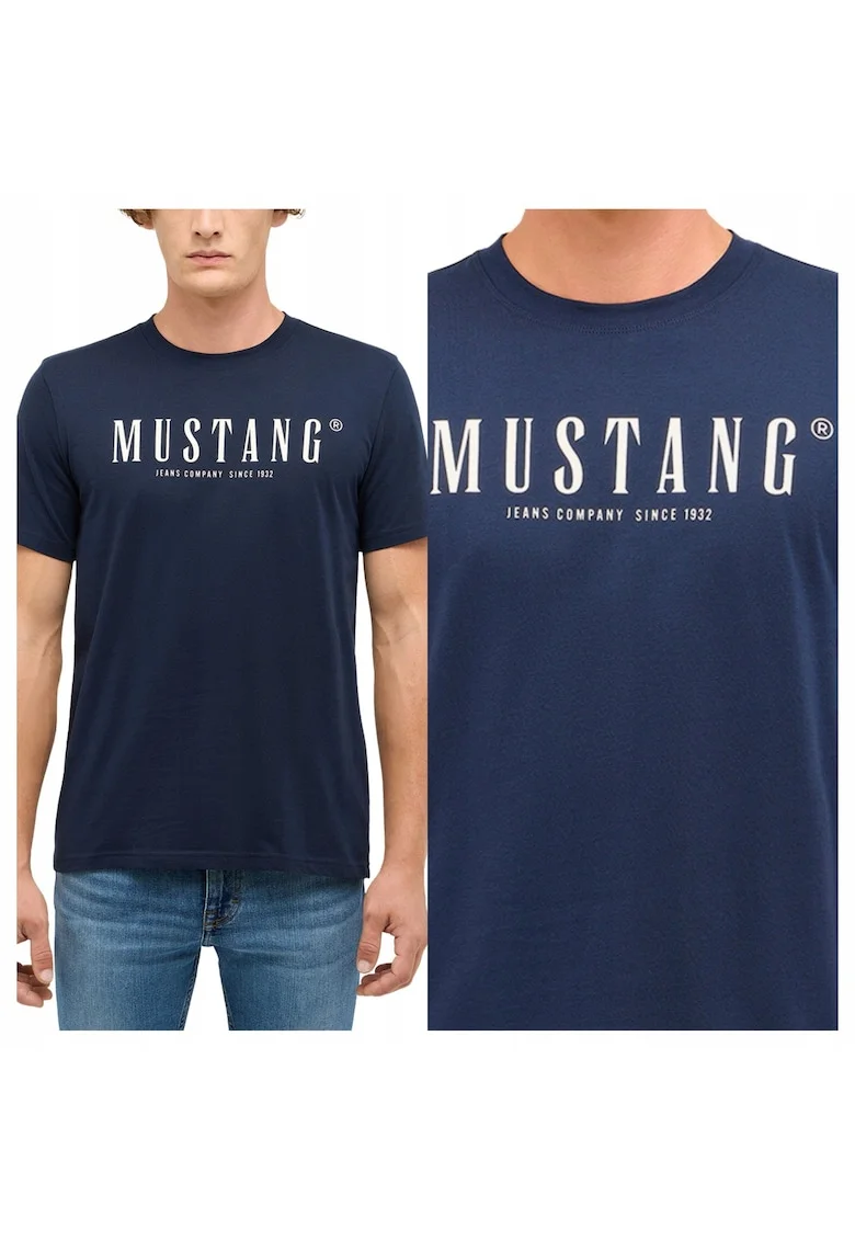 Tricou Barbati,  Austin, 2XL INTL, Albastru, Regular Fit, Bumbac, Design Clasic Casual, Ideal Pentru Uz Zilnic, Maneca Scurta