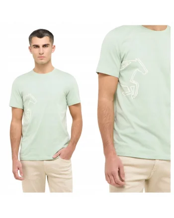 Tricou Barbati,  XXL, Verde, 100% Bumbac, Croiala Slim Fit, Design Clasic Casual, Calitate Premium, Style Pierre Frosty Green