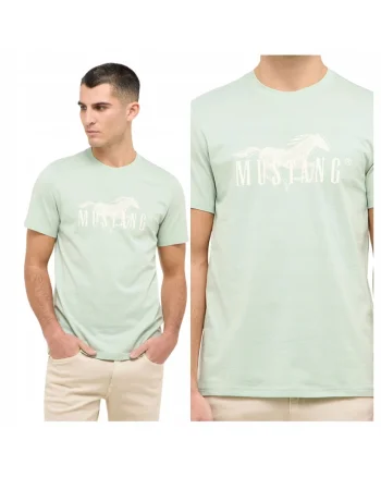 Tricou Barbati,  6XL, Verde, 100% Bumbac, Croiala Regular Fit, Design Clasic Casual, Calitate Premium, Style Austin Frosty Green