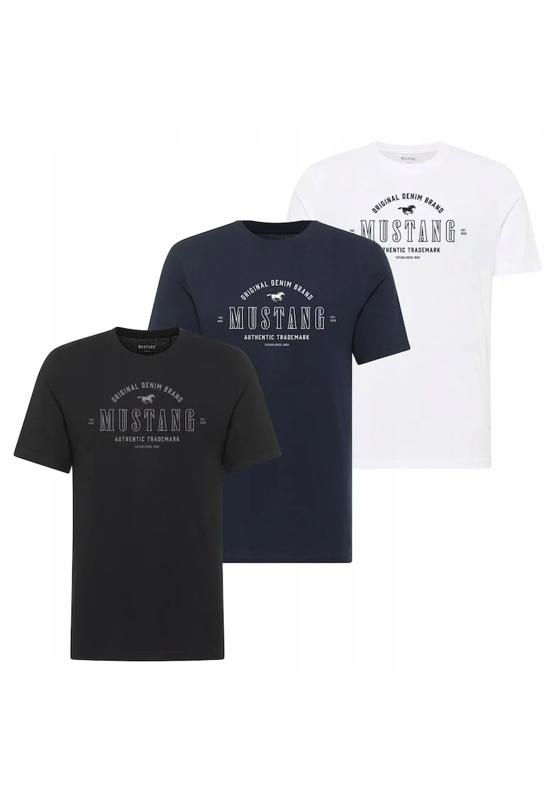 Set 3 Tricou Barbati,  Alex, S INTL, Multicolor, Bumbac, Design Clasic Casual, Ideal Pentru Uz Zilnic, Material Premium Confortabil, Croiala Regular Fit, Maneca Scurta