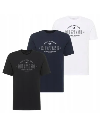 Set 3 Tricou Barbati,  Alex, XL INTL, Multicolor, Bumbac, Design Clasic Casual, Ideal Pentru Uz Zilnic, Material Premium Confortabil, Croiala Regular Fit, Maneca Scurta