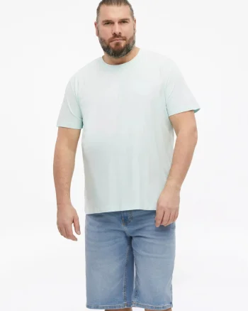 s.Oliver Big Sizes Tricou barbati big sizes cu decolteu la baza gatului, din bumbac, Turcoaz (SELECTATI MARIMEA: 2XL)