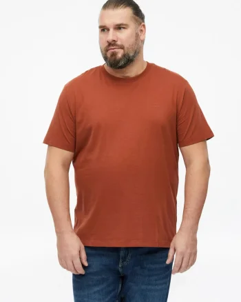 s.Oliver Big Sizes Tricou cu decolteu la baza gatului, barbati big sizes, din bumbac, Regular fit, Maro (SELECTATI MARIMEA: 2XL)