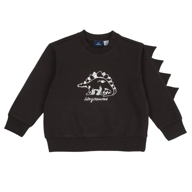 Bluza groasa copii Chicco, maro inchis, 00662-69MC