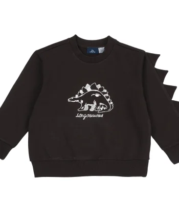 Bluza groasa copii Chicco, maro inchis, 00662-69MC